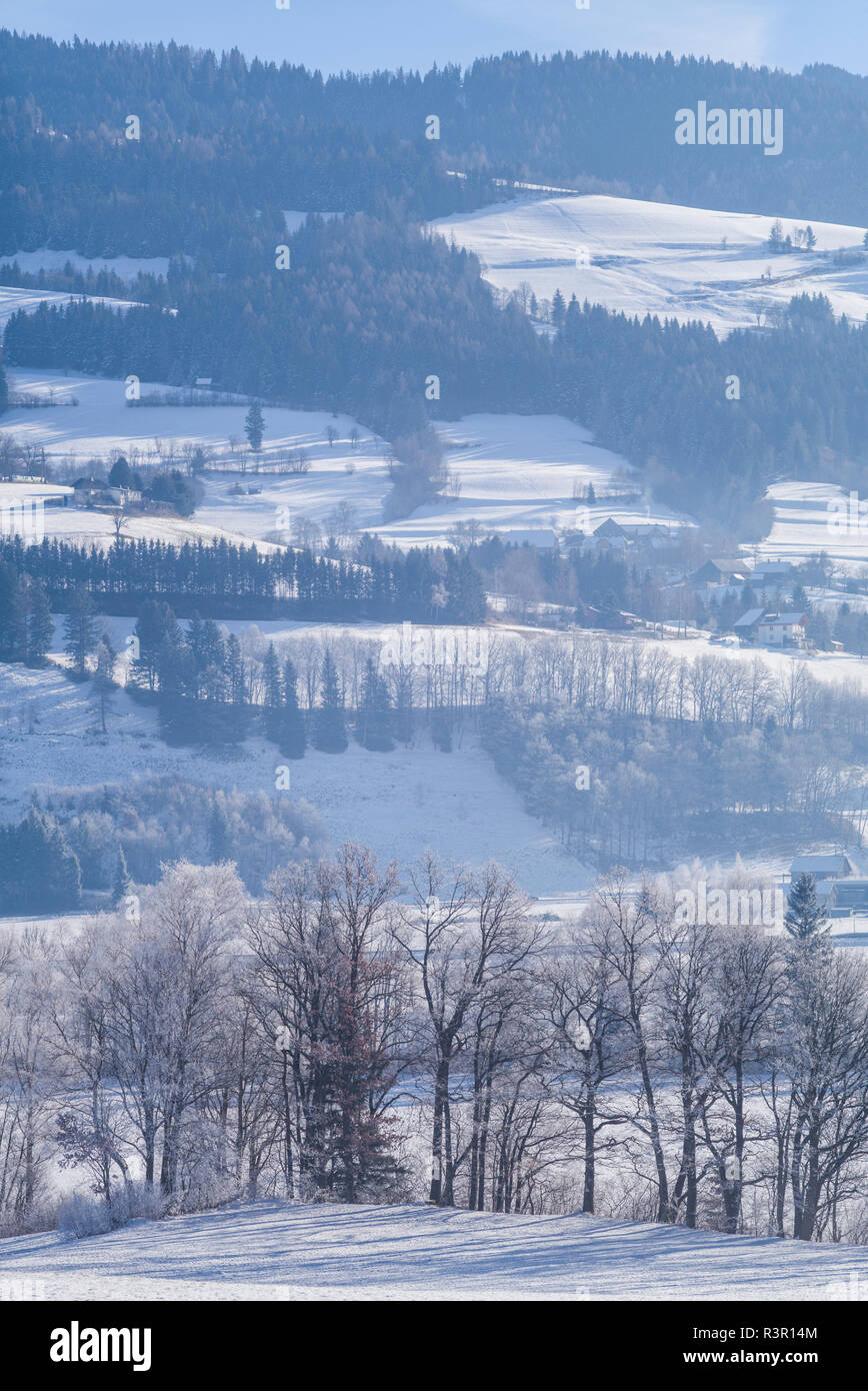L'Austria, la Stiria, Oblarn, paesaggio invernale Foto Stock