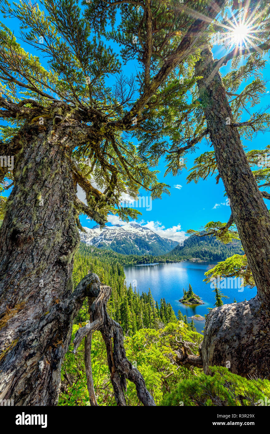 Lago Bedwell, Strathcona Provincial Park. Protetto regione montagnosa, ricco di laghi e foreste dense, nel centro di Vancouver Island, isola di Vancouver, Canada Foto Stock