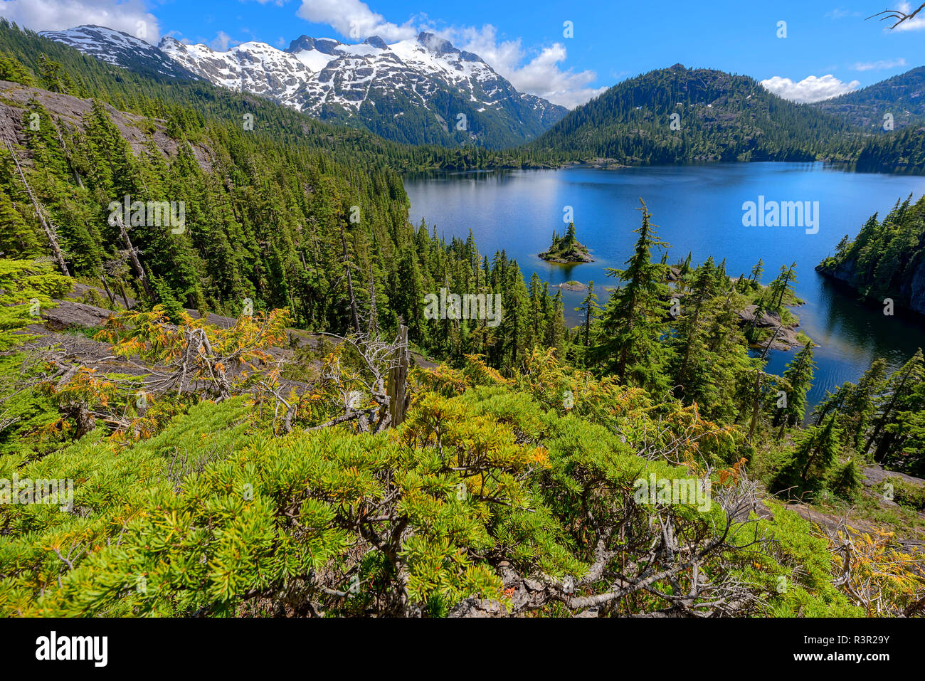 Lago Bedwell, Strathcona Provincial Park. Protetto regione montagnosa, ricco di laghi e foreste dense, nel centro di Vancouver Island, isola di Vancouver, Canada Foto Stock