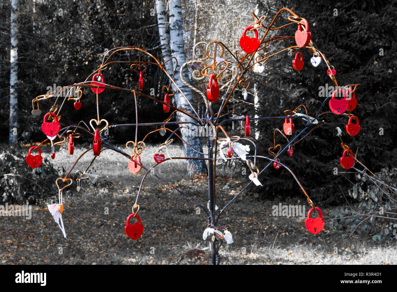 Un albero artificiale realizzato in ferro viene impiegato come un'eternità di albero e coperto di serrature e lovehearts. Mandrogi Verkhniye, Russia. Centro turistico. Foto Stock
