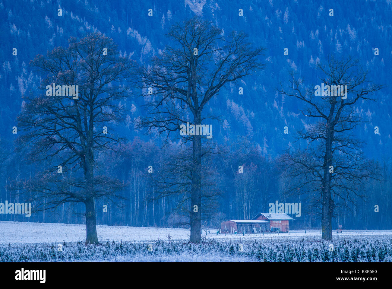 Austria, Tirolo, Stams, paesaggio invernale Foto Stock