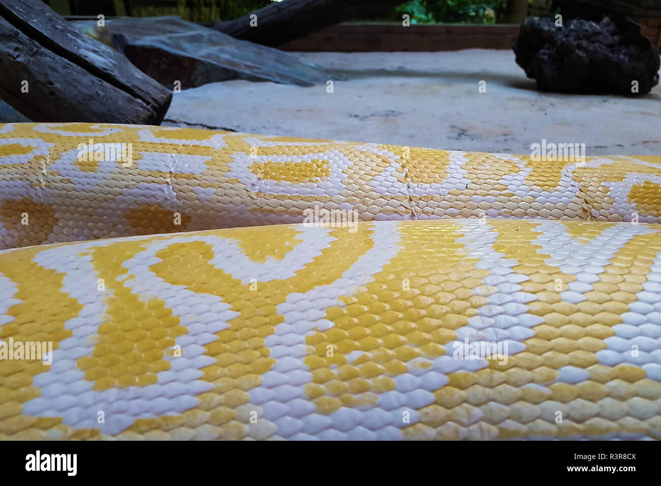 La texture della pelle. Giallo sullo sfondo di serpente. Foto Stock