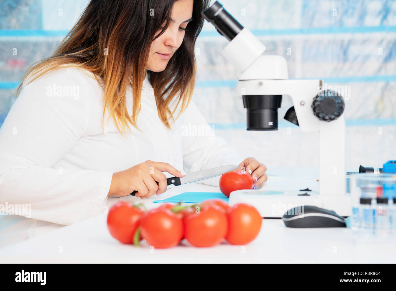 Ricerca alimentare, immagine concettuale. Foto Stock