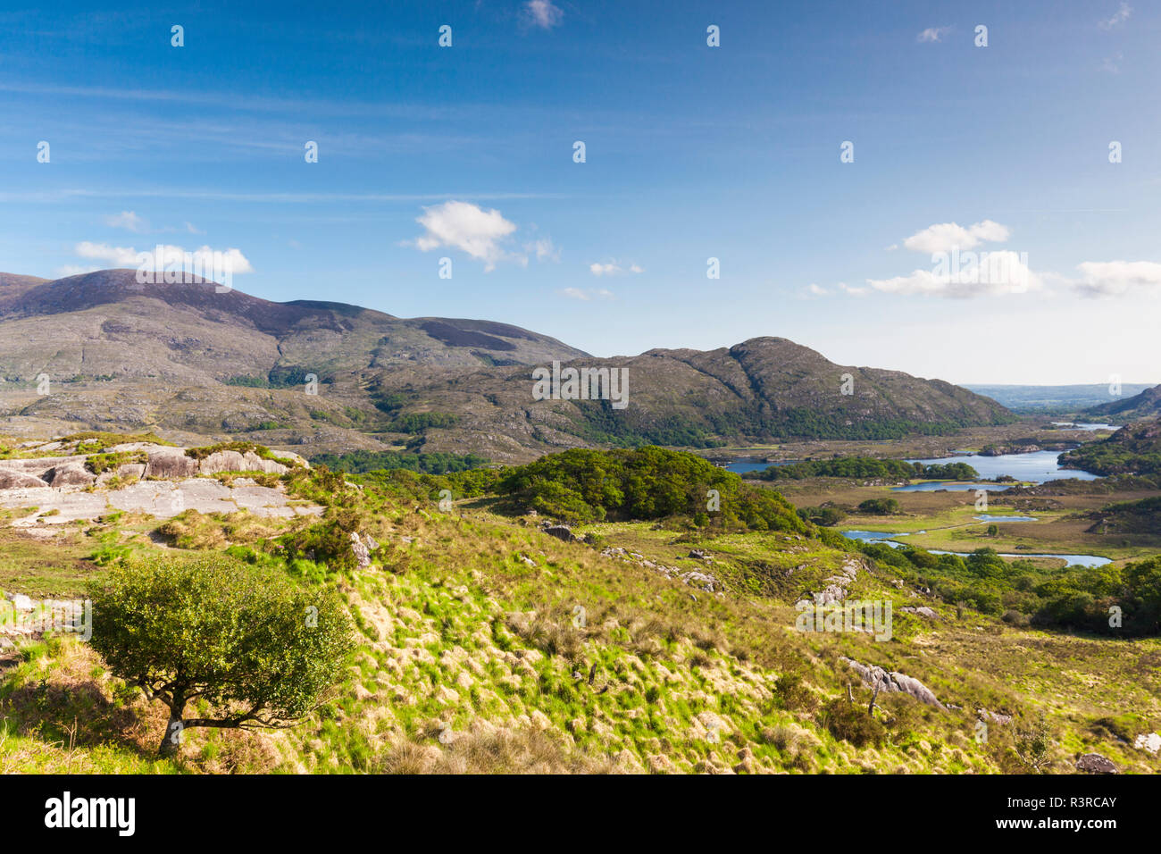 L'Irlanda, nella contea di Kerry, Ring of Kerry, Killarney, Killarney National Park, Ladies View Foto Stock