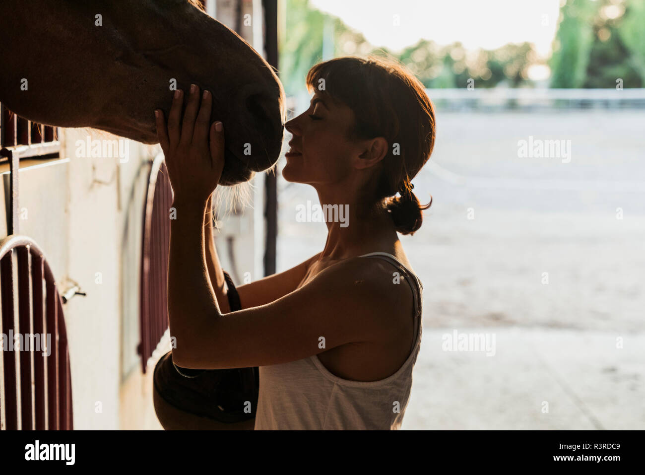 Donna sorridente accarezzare il cavallo in stabile Foto Stock