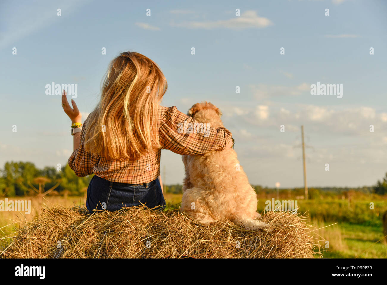 Una ragazza con i capelli lunghi si siede accanto a un cane Shaggy su un pagliaio con la schiena per la fotocamera Foto Stock