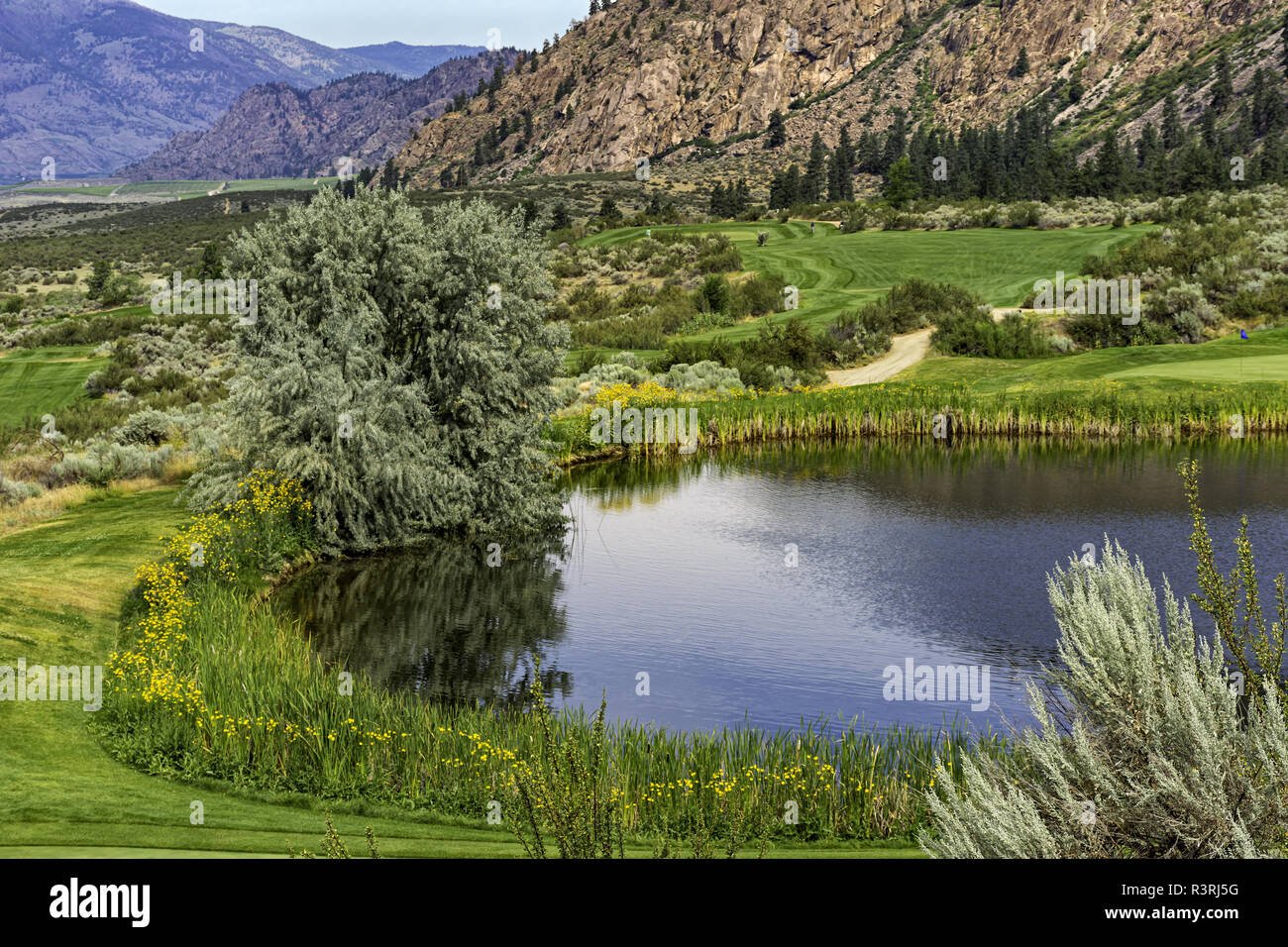 Un campo da golf nella Okanagan Valley vicino a Osoyoos della Columbia britannica in Canada con Osoyoos lago e montagne sullo sfondo Foto Stock