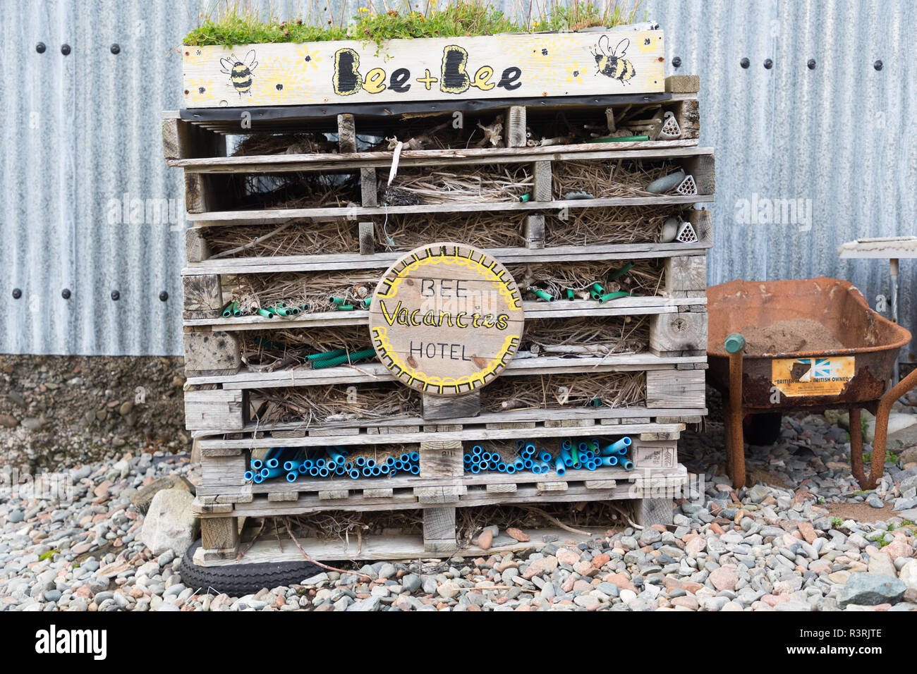 B+B per le api, Hillswick, Isole Shetland Foto Stock