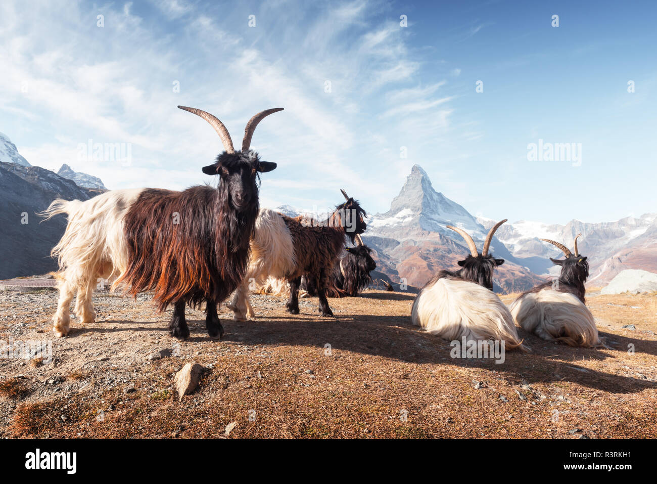 Vista pittoresca del Cervino Il Cervino picco, strada sterrata e lago Stellisee nelle Alpi Svizzere. Zermatt resort ubicazione, Svizzera. Fotografia di paesaggi Foto Stock