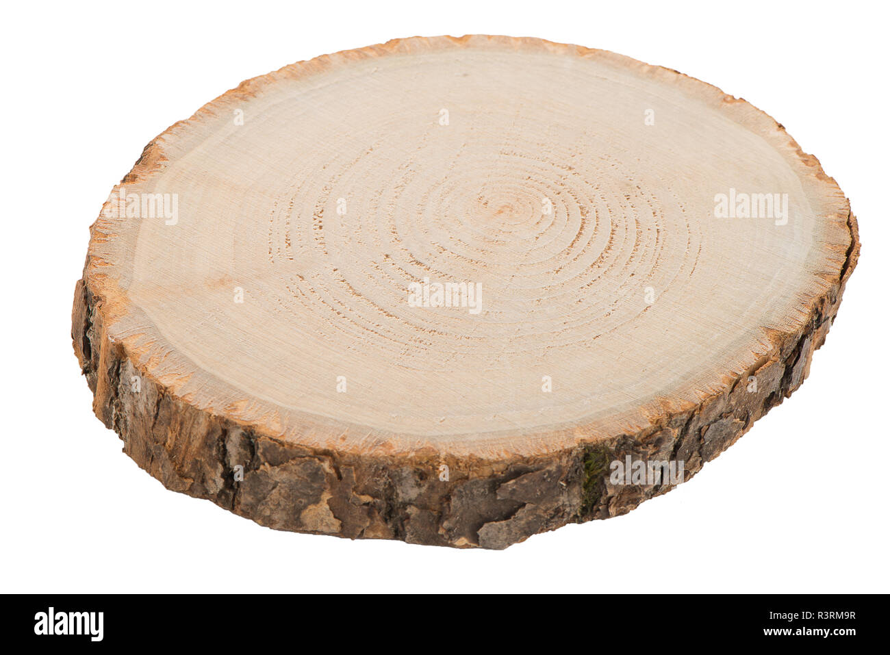 Registro di legno intagliate fetta di tronco di albero isolato su bianco  Foto stock - Alamy