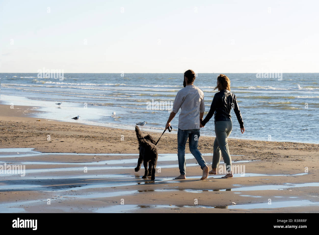 Coppia giovane a piedi con il loro cane sulla spiaggia Foto Stock
