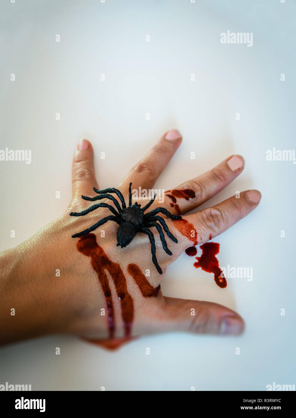 Fake spider su una mano di spurgo - orrore o concetto di halloween Foto Stock
