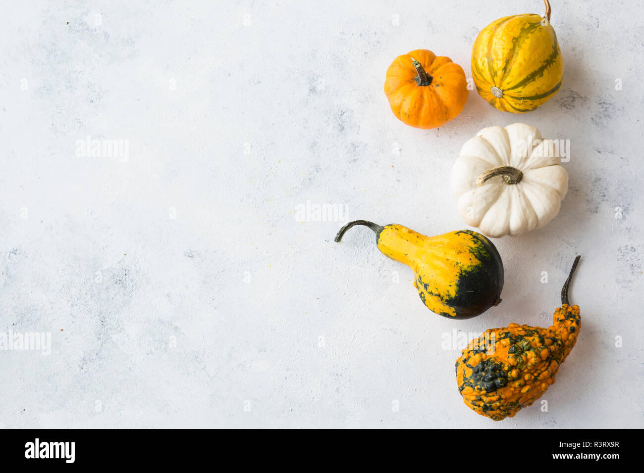 Zucche ornamentali in legno bianco Foto Stock