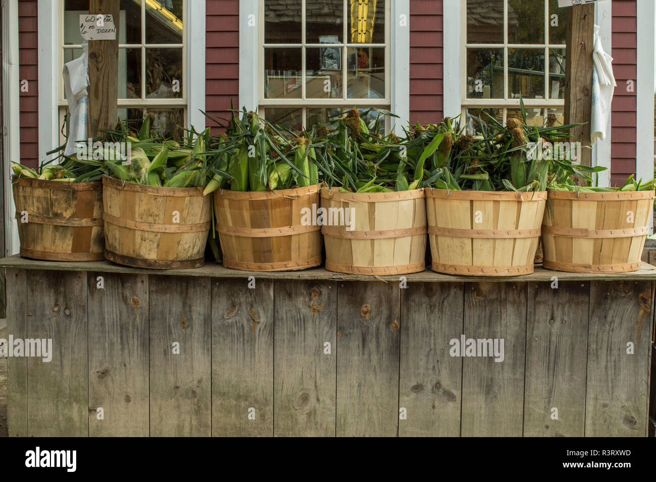 Sei cesti di mais sul tavolo a Lull Farm, Hollis NH. Fattoria popolare stand nel Sud del New Hampshire soprattutto durante l'autunno e la stagione crescente, la vendita al dettaglio. Foto Stock