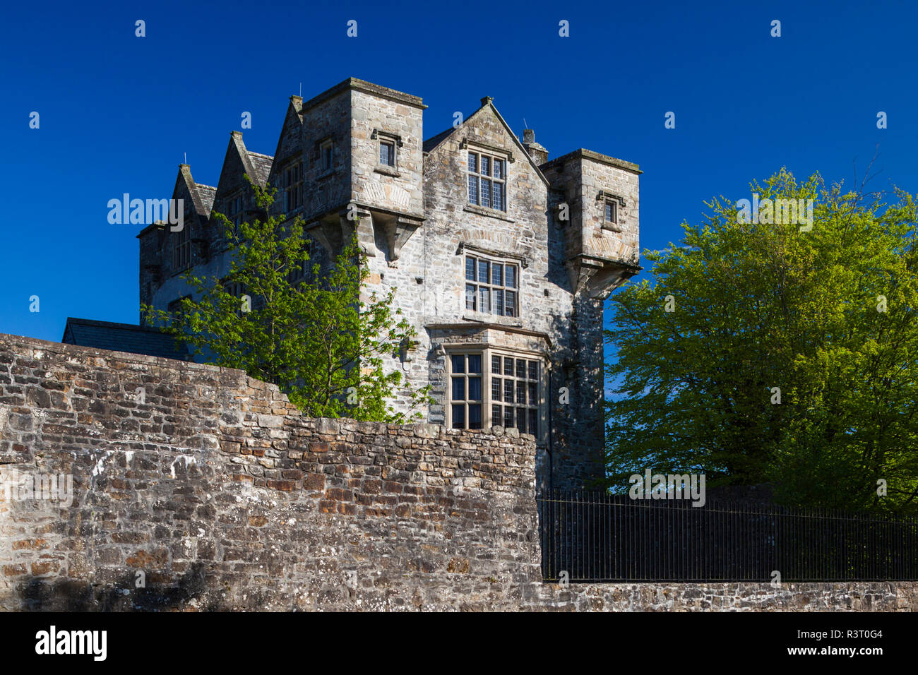 Irlanda, County Donegal, Donegal Town, Donegal Castle Foto Stock