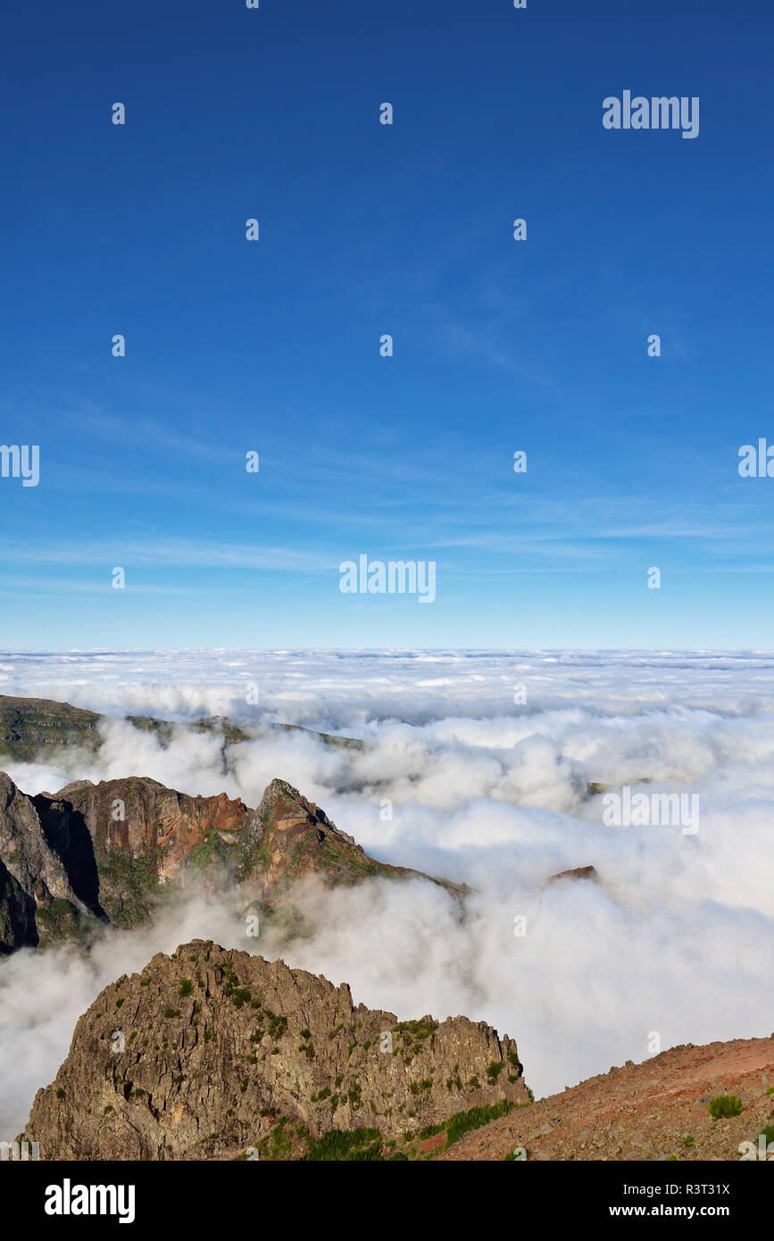 Madera, Pico Ruivo, mare di nuvole sotto i picchi di montagna visto da Pico do Areeiro Foto Stock