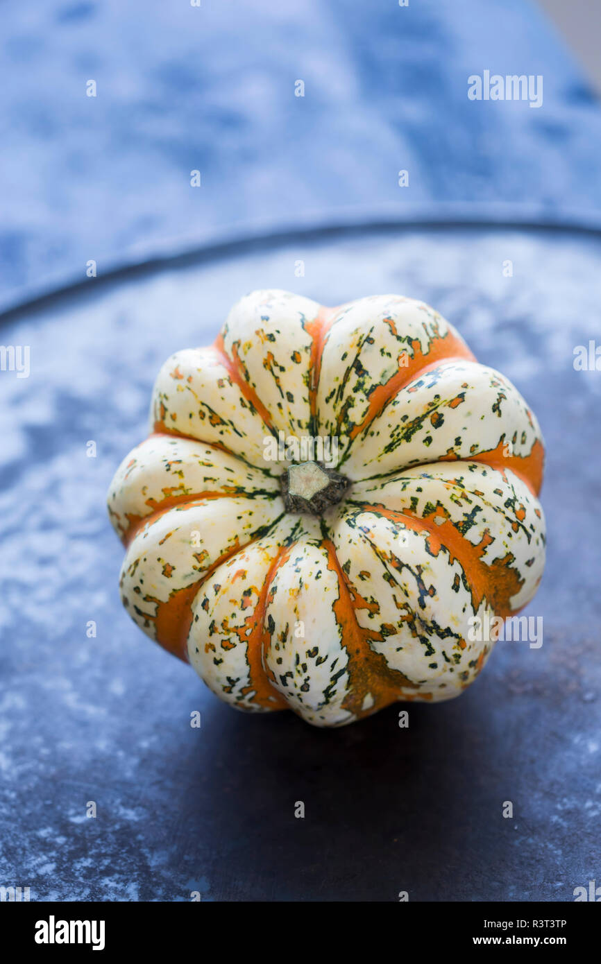 Zucca ornamentale Foto Stock