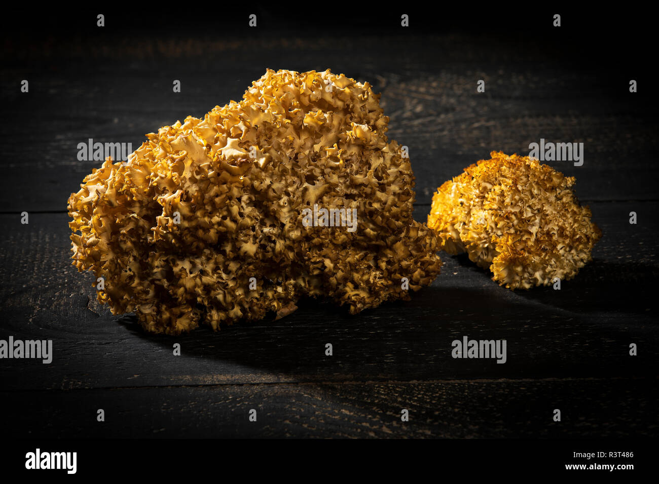 Il cavolfiore funghi su legno scuro Foto Stock