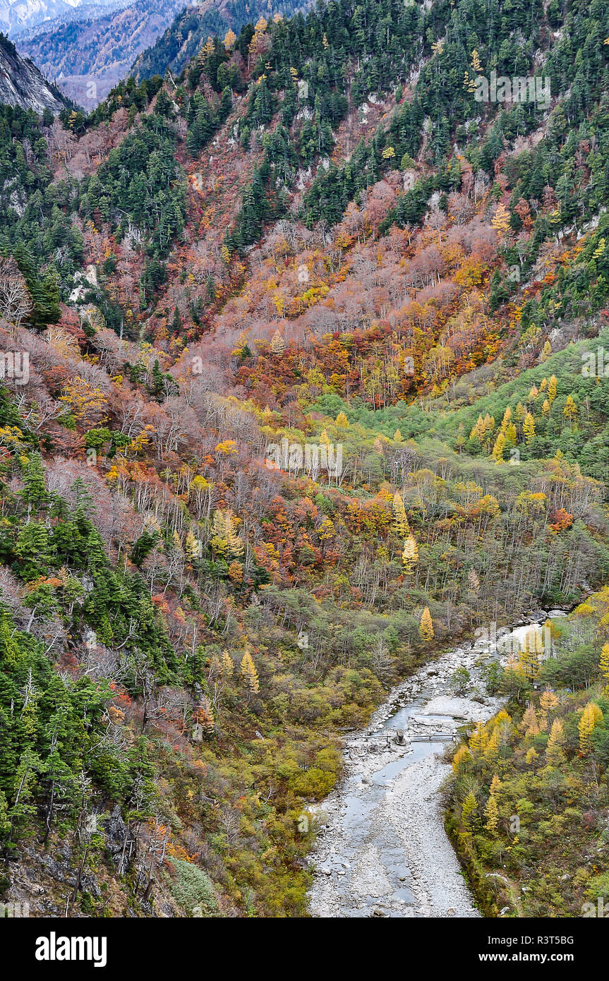 Magnifico paesaggio autunnale di foglie colorate sulla montagna selvaggia Scogliere da Kurobe Dam in Tateyama Kurobe Route Alpino, Toyama in Giappone Foto Stock