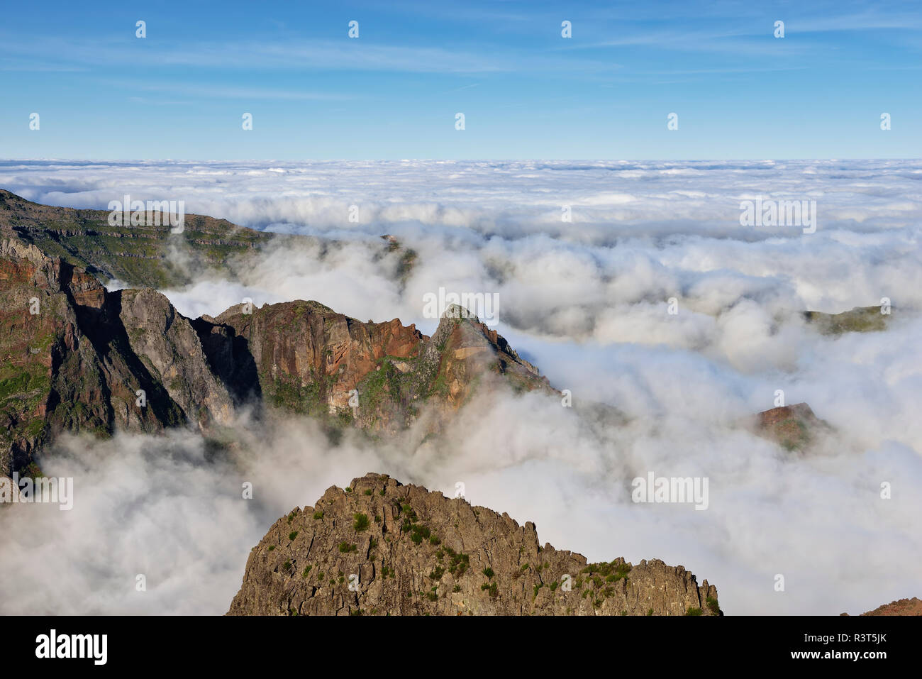 Madera, Pico Ruivo, mare di nuvole sotto i picchi di montagna visto da Pico do Areeiro Foto Stock