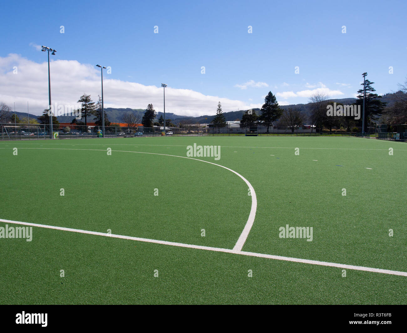 Campo di hockey su prato con erba artificiale Foto Stock