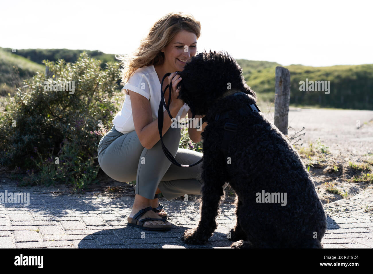 La donna come accarezzare il suo cane Foto Stock