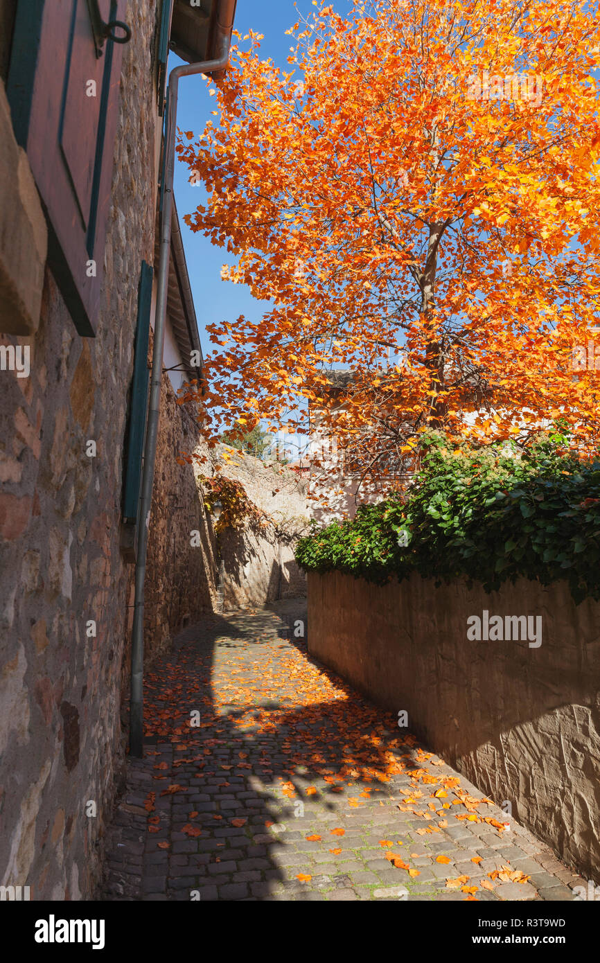 In Germania, in Renania Palatinato, Freinsheim, mura e vuoto modo in autunno Foto Stock