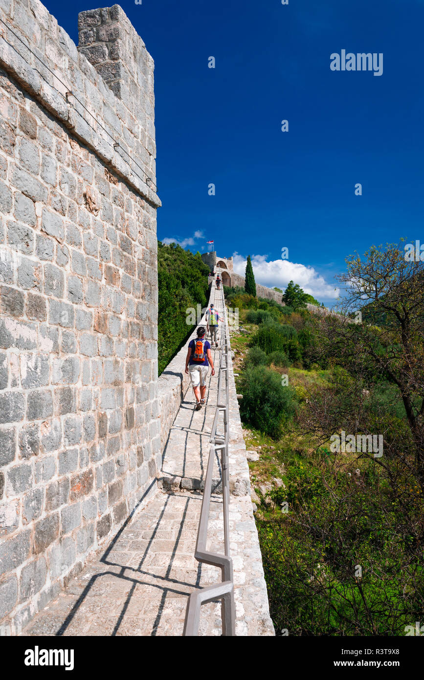 I turisti sulla grande parete sopra il centro della città, Ston, Dalmazia, Croazia Foto Stock
