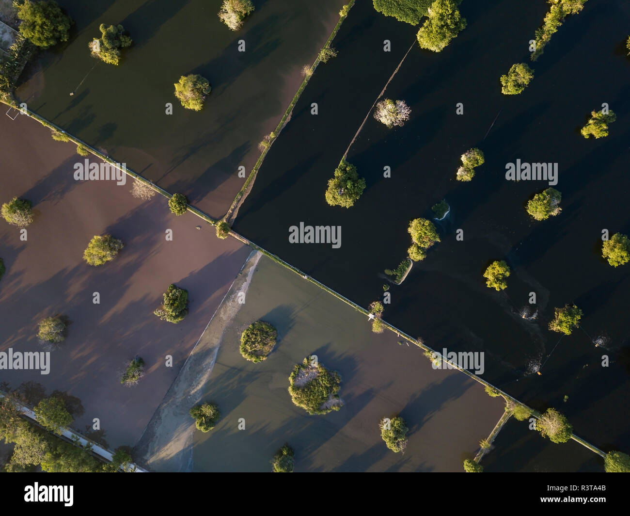 Indonesia, Bali, vista aerea di mangrovie in acqua Foto Stock