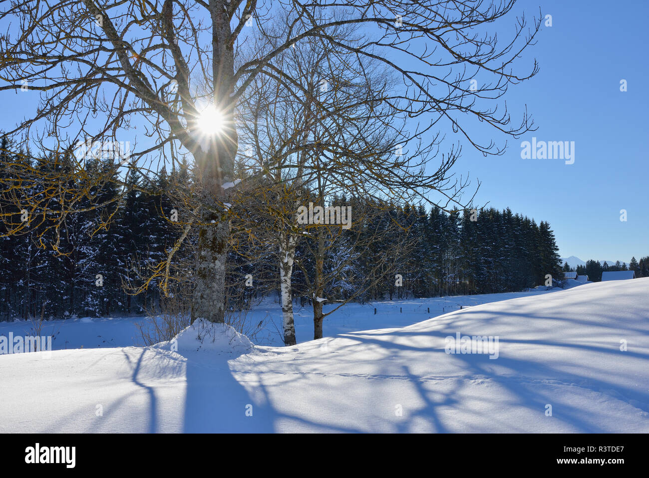 Germania, Werdenfelser Land, Kruen, paesaggio invernale Foto Stock