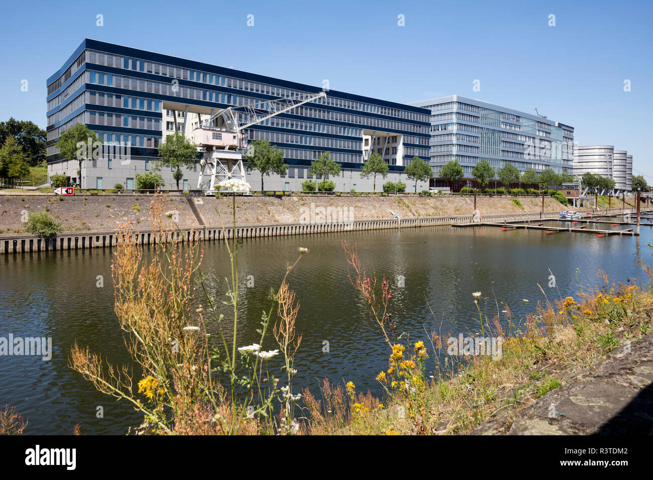 Germania, Duisburg, vista ai moderni edifici per uffici e marina al porto interno Foto Stock