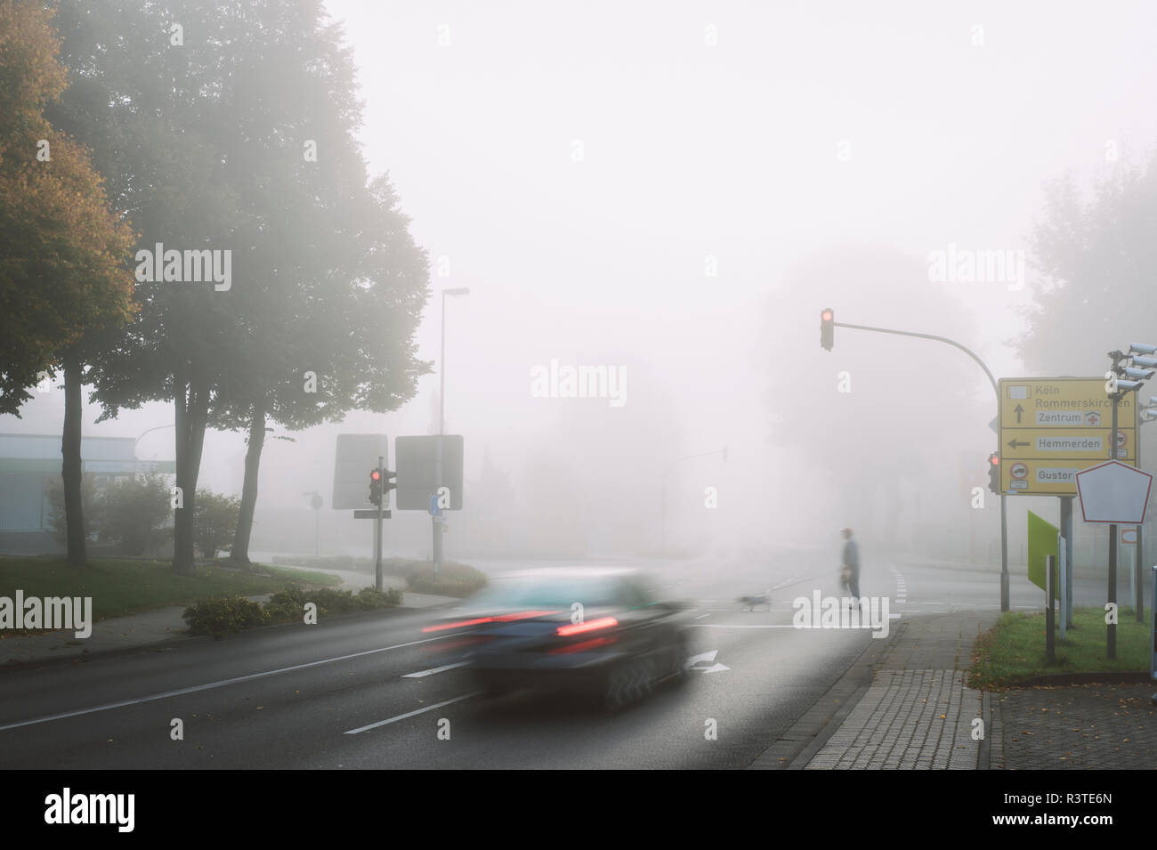 Uomo e cane incrocio strada sulla giornata di nebbia in autunno Foto Stock