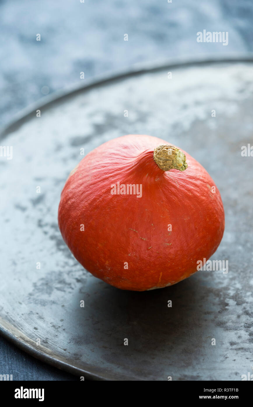 Zucca ornamentale Foto Stock