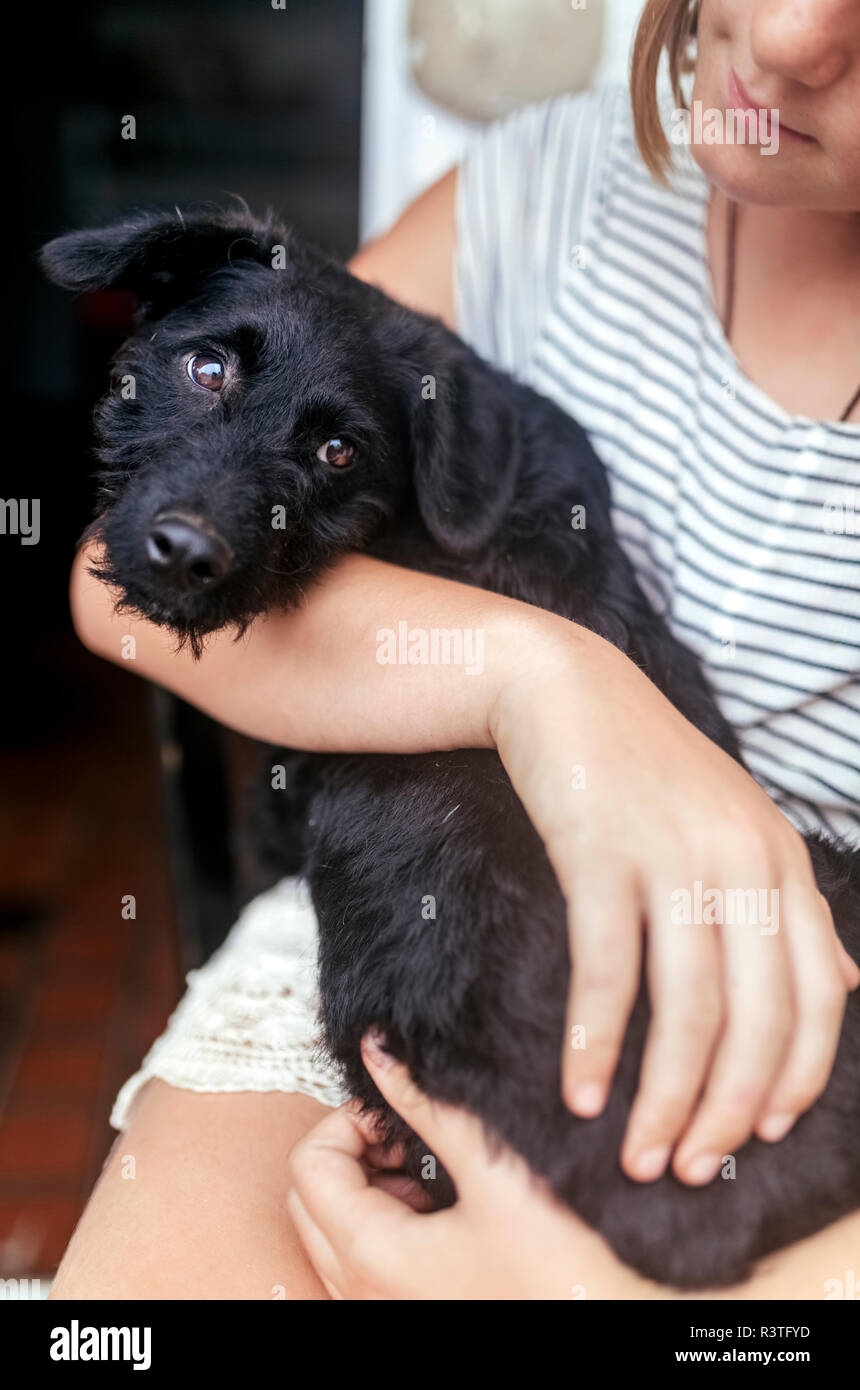 Ritratto di cucciolo nero sulla ragazza in giro Foto Stock