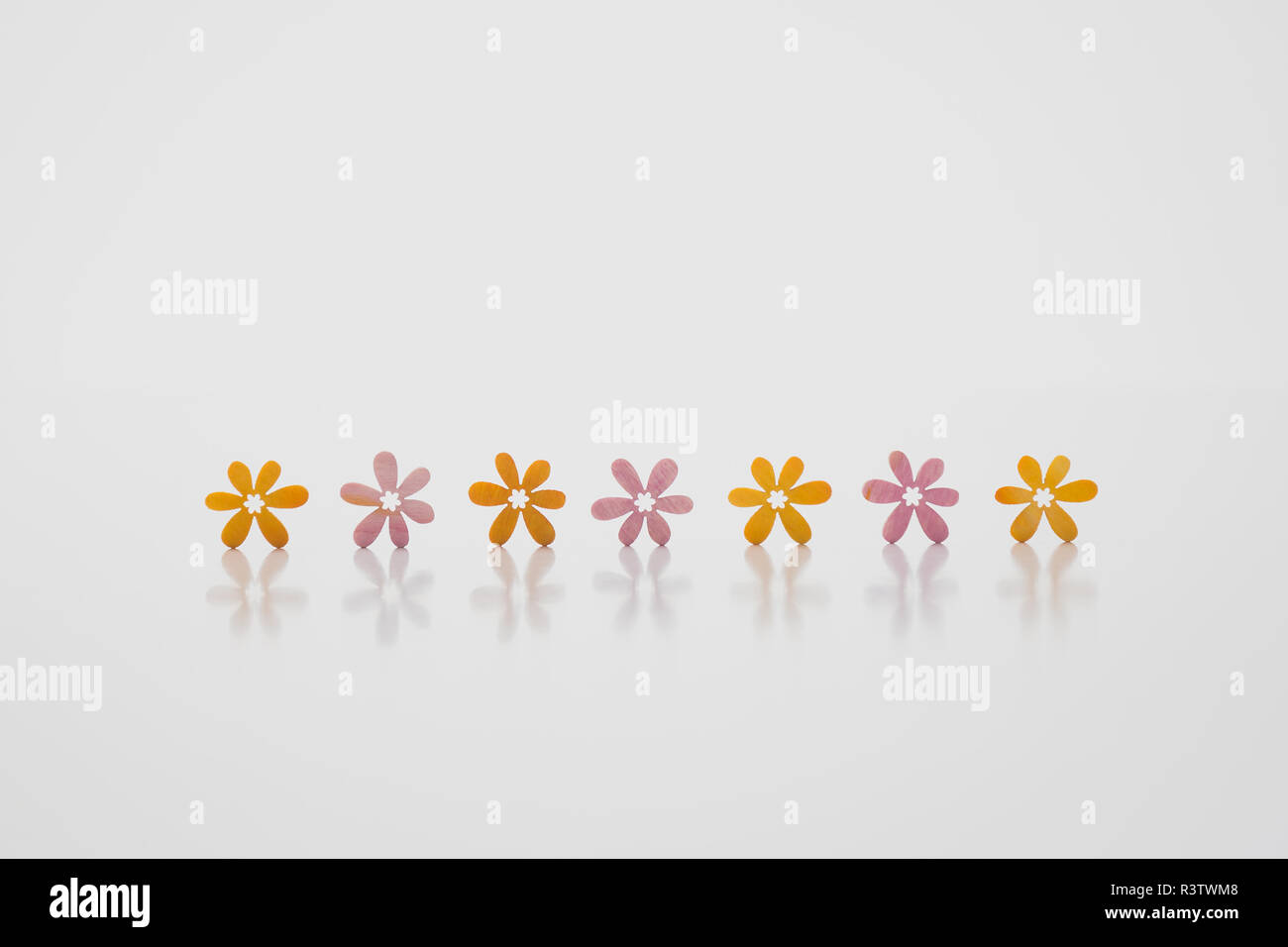 Sfondo astratto,fiori di colore rosa e arancio alternativamente contro uno sfondo bianco,sette in una riga Foto Stock