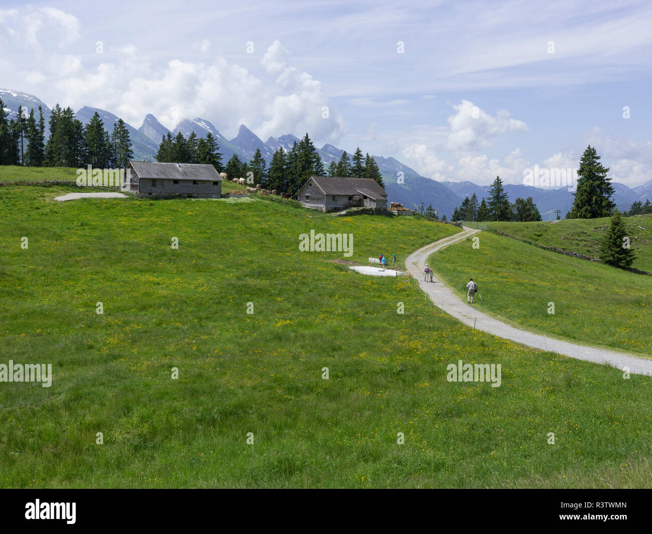 Famiglia Escursioni nelle Alpi Svizzere Foto Stock
