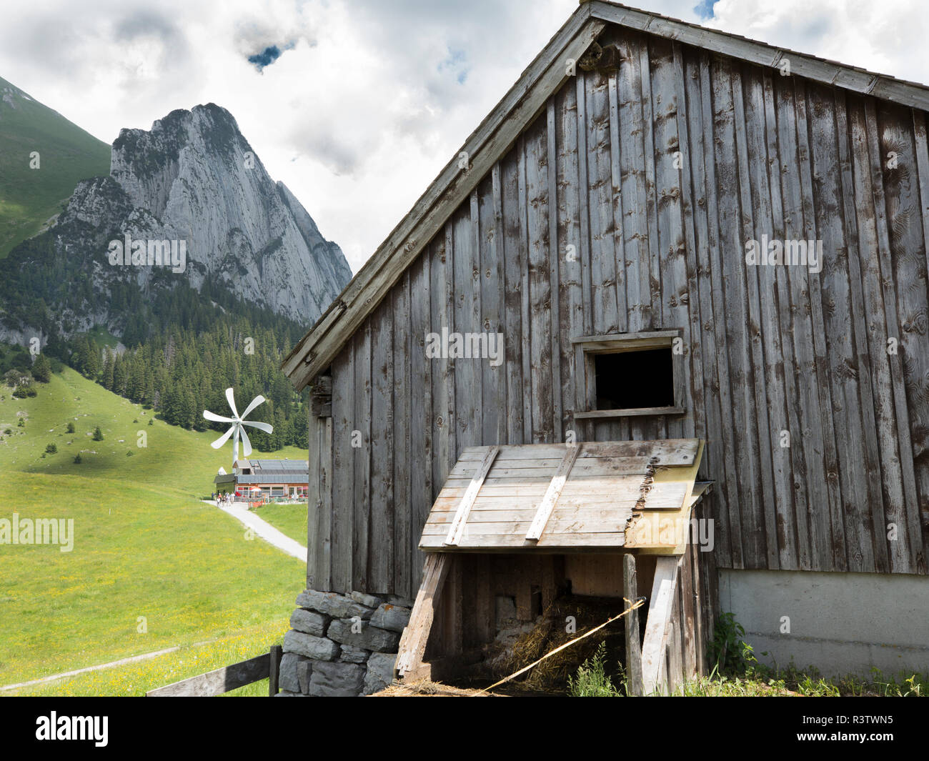 Vecchia latteria mucca fienile in verde pascolo, Alpi Svizzere Foto Stock