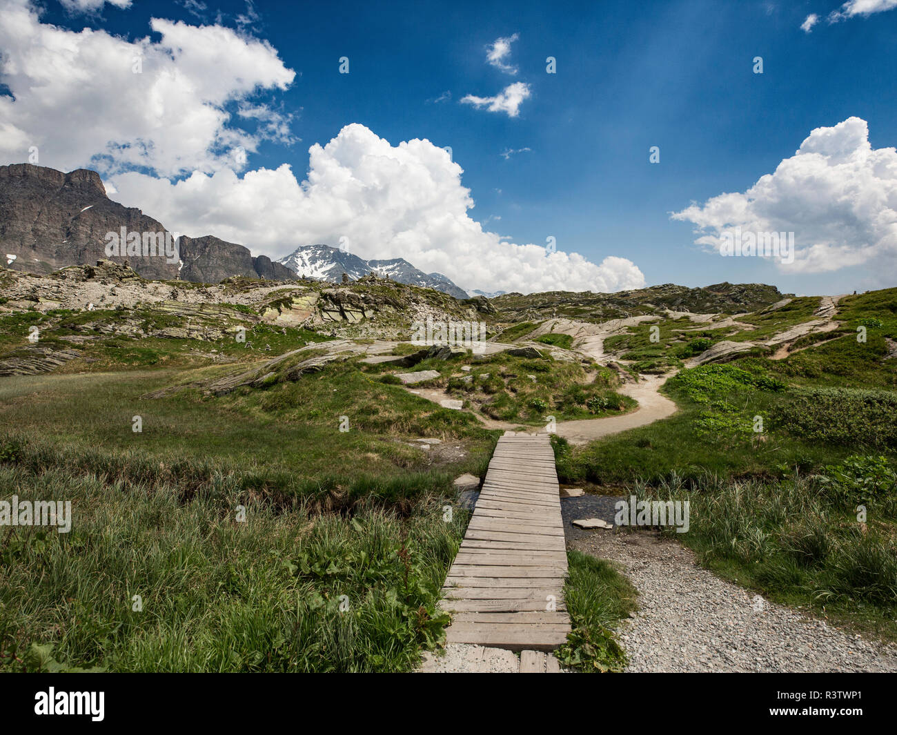 Wander svizzero modo Trail, percorso sulla luminosa giornata estiva, Alpi Svizzere Foto Stock