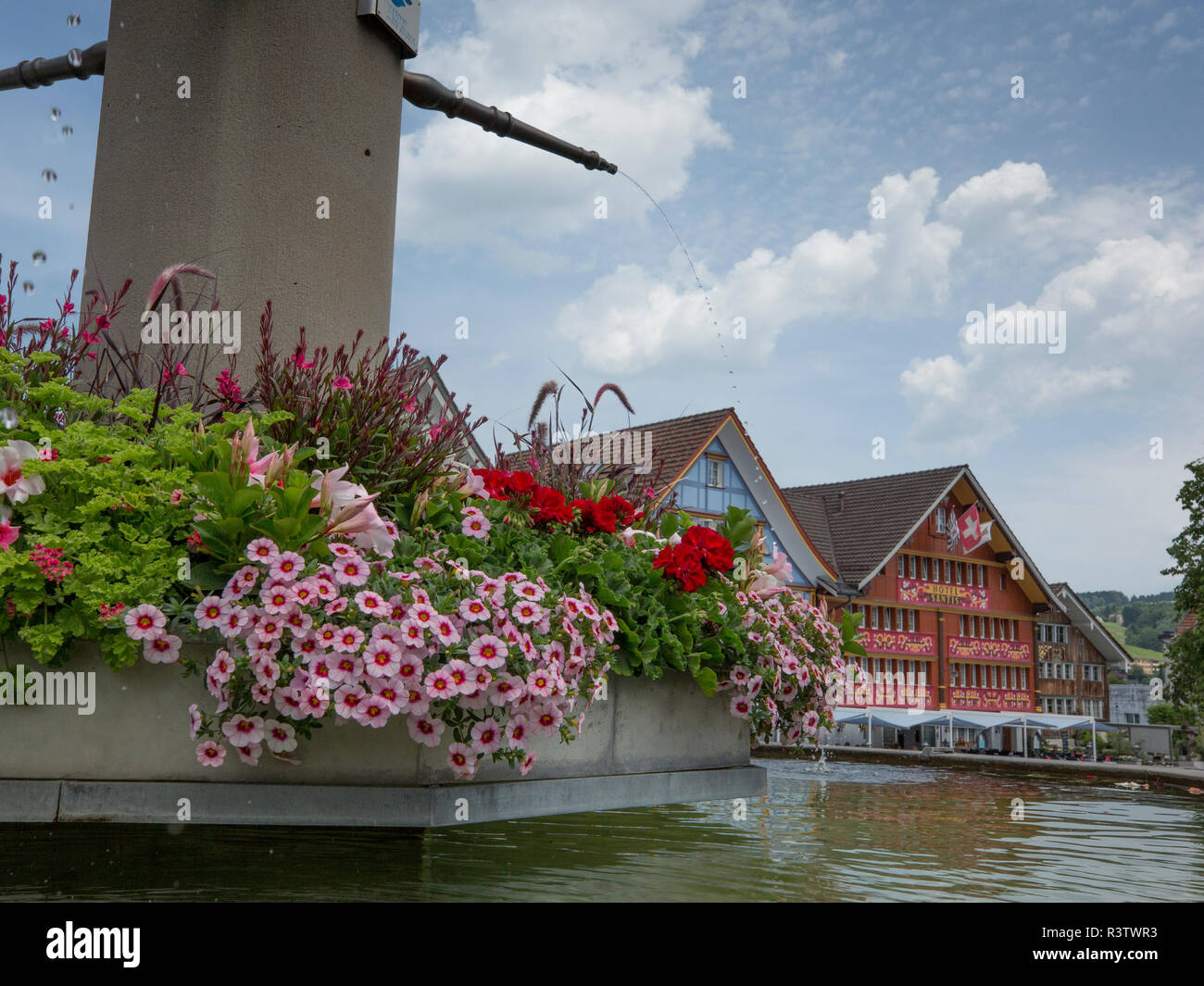 La Svizzera, Appenzell, Town Square, Fontana, Floreale Foto Stock