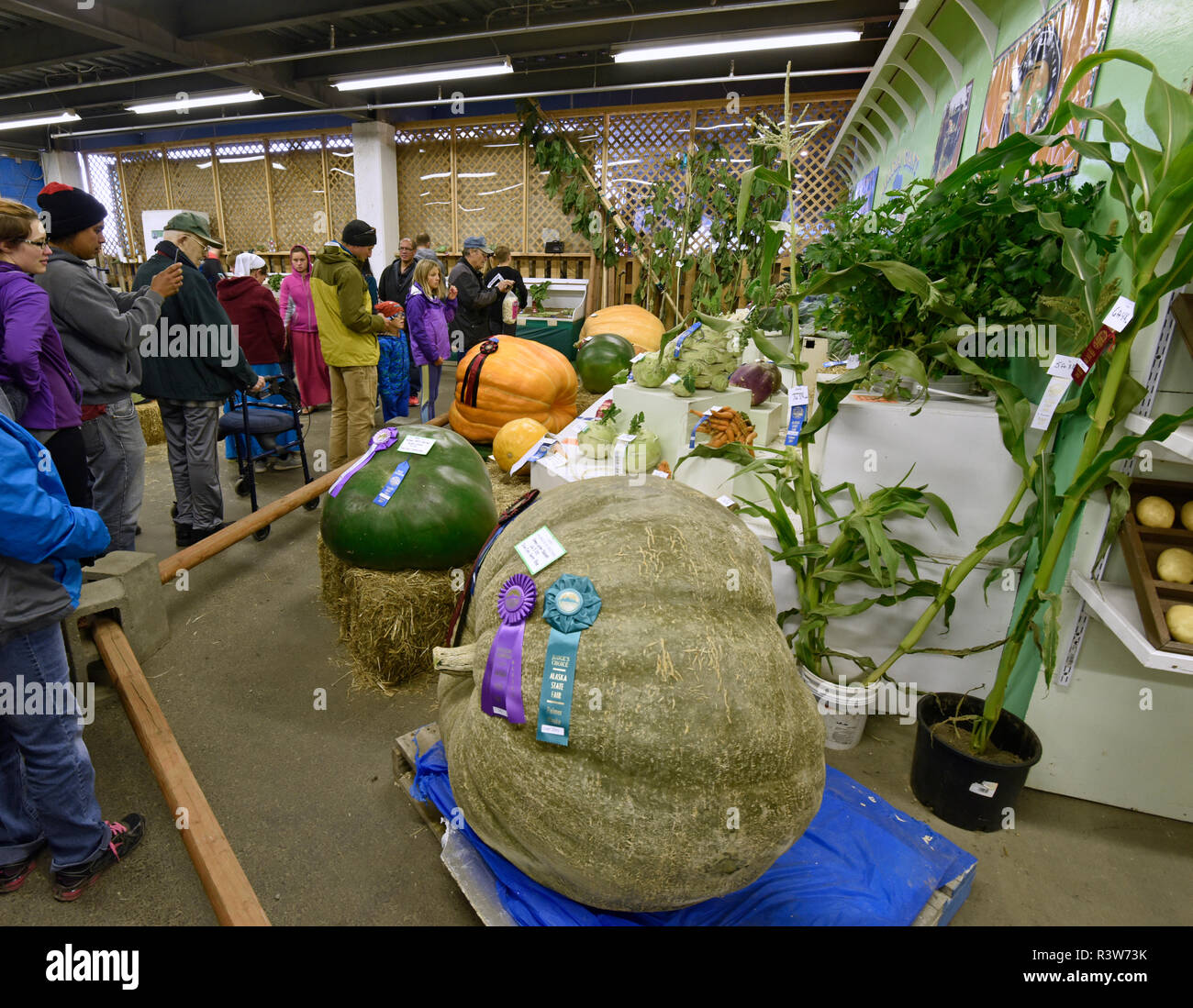 Alaska State Fair, cibo, produrre verdure, Palmer, Alaska, STATI UNITI D'AMERICA Foto Stock