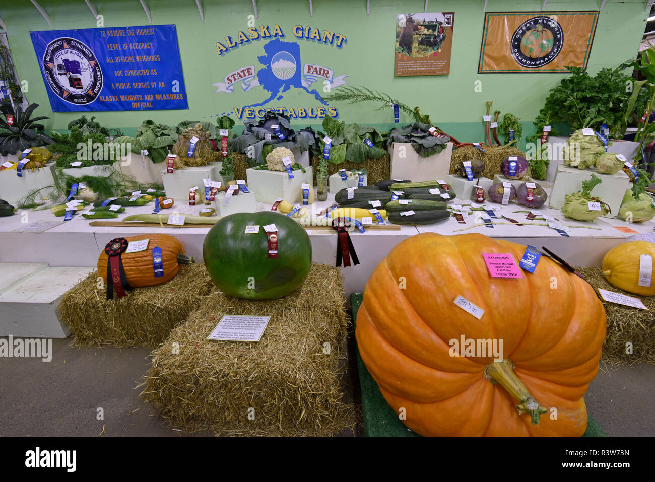 Alaska State Fair, cibo, produrre verdure, Palmer, Alaska, STATI UNITI D'AMERICA Foto Stock