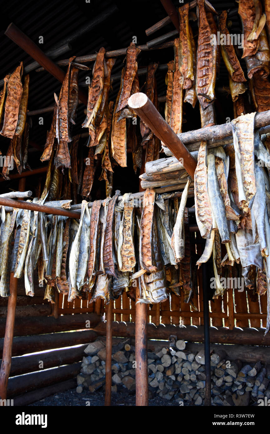 Stati Uniti d'America, Alaska Fairbanks. Chena villaggio indiano, casa di fumo con strisce di salmone essiccazione. Foto Stock