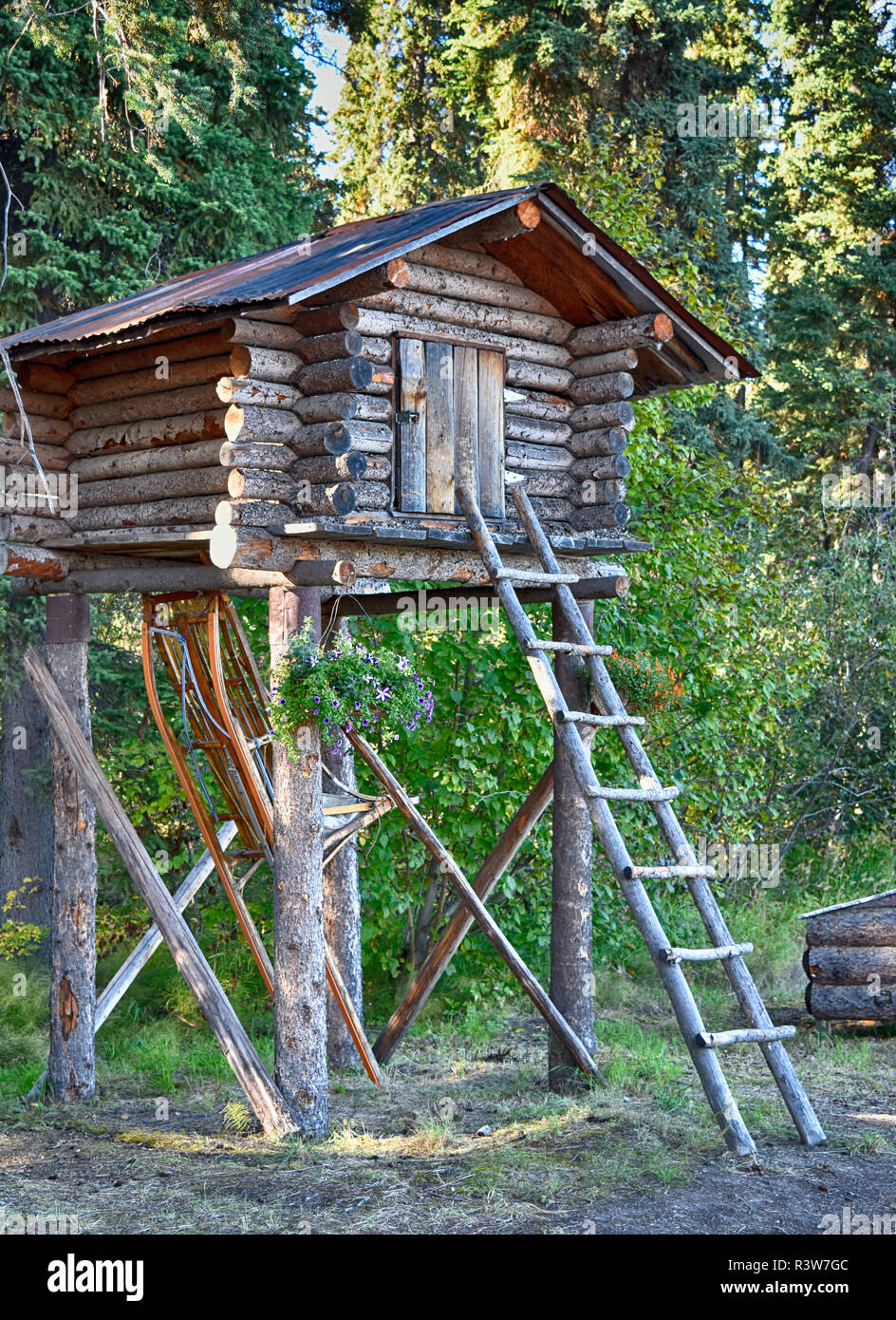 Stati Uniti d'America, Alaska Fairbanks. Chena villaggio indiano, cache del registro Foto Stock