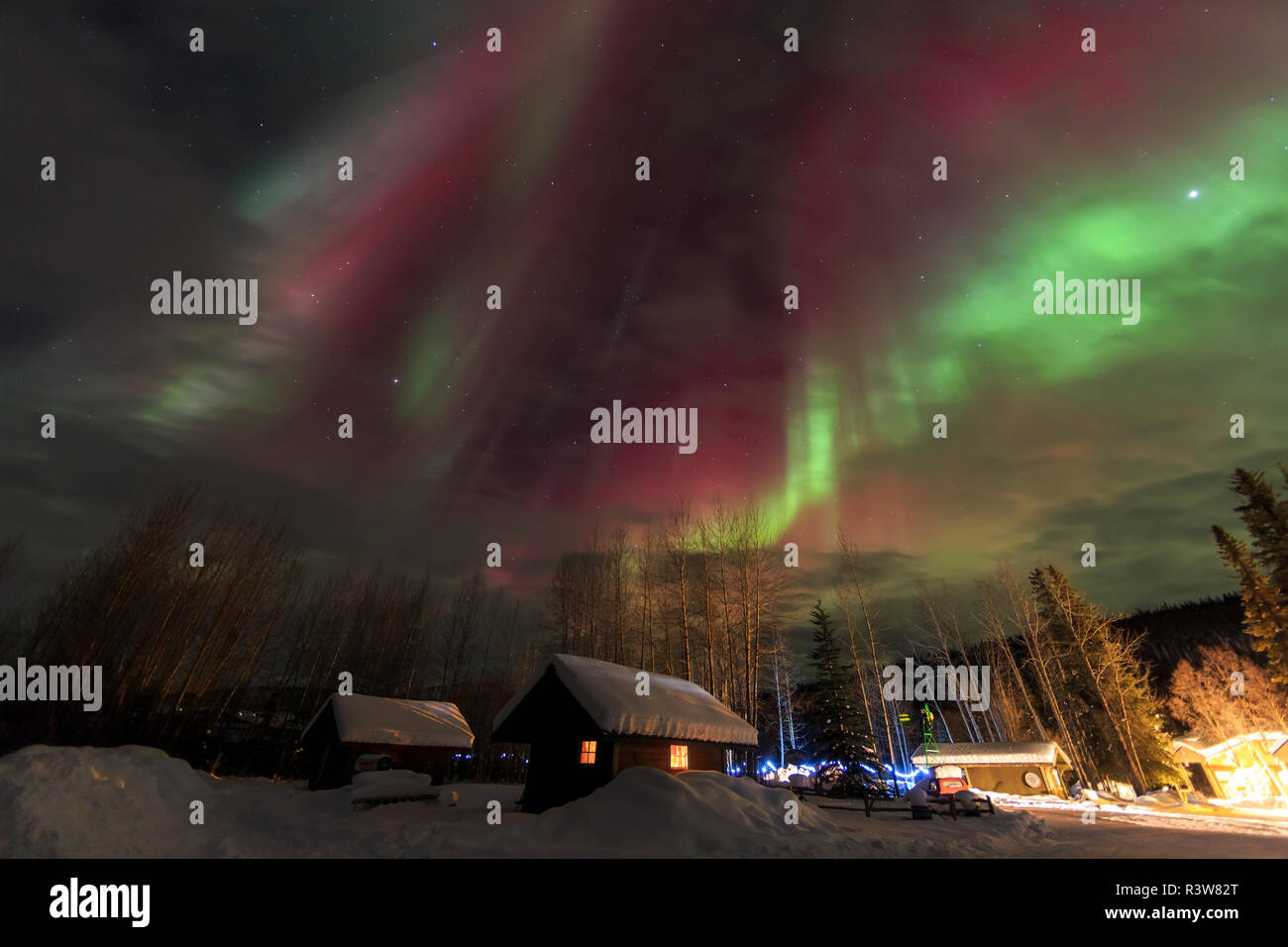 Aurora boreale, luci del nord a Chena Hot Springs, vicino a Fairbanks Alaska Foto Stock