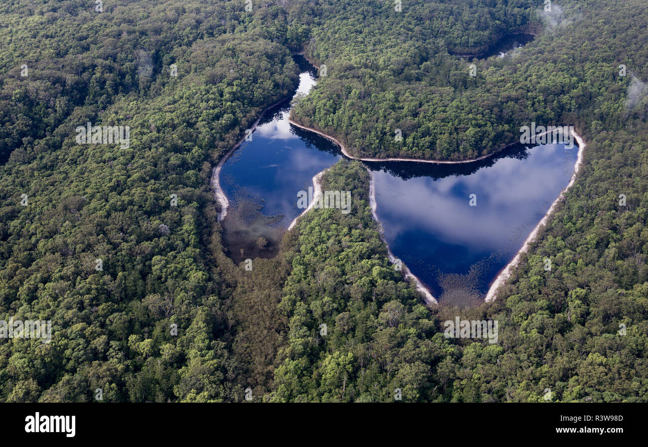 Fraser Island è una destinazione molto amata per le vacanze. È eredità di mondo elencati. Lago di farfalla. Foto Stock