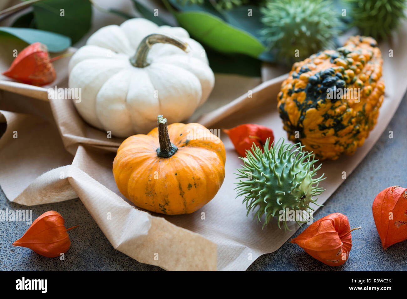 Decorazione autunnale, zucche ornamentali Foto Stock