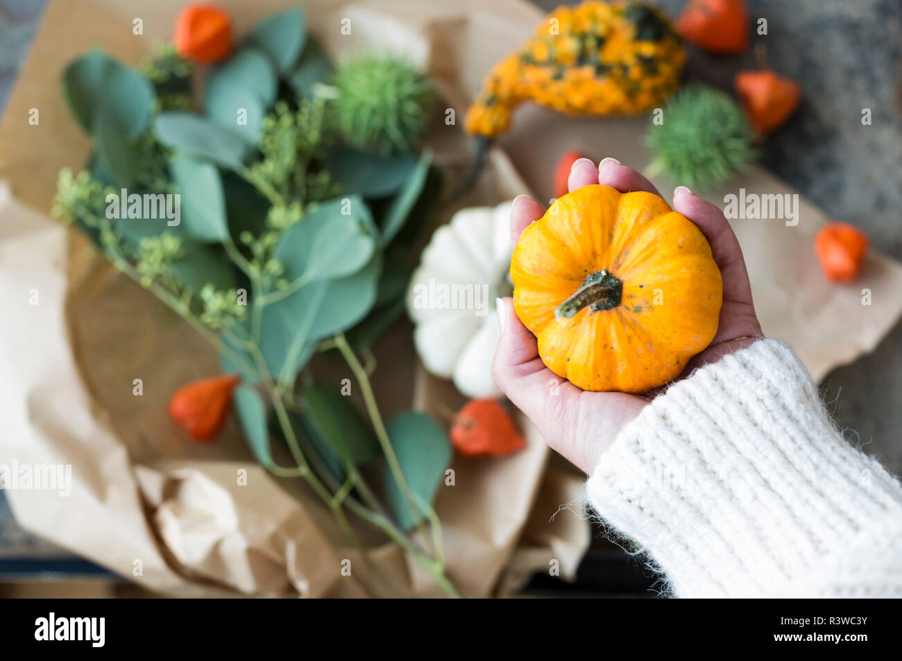 Decorazione autunnale, donna di mano azienda zucca ornamentale Foto Stock