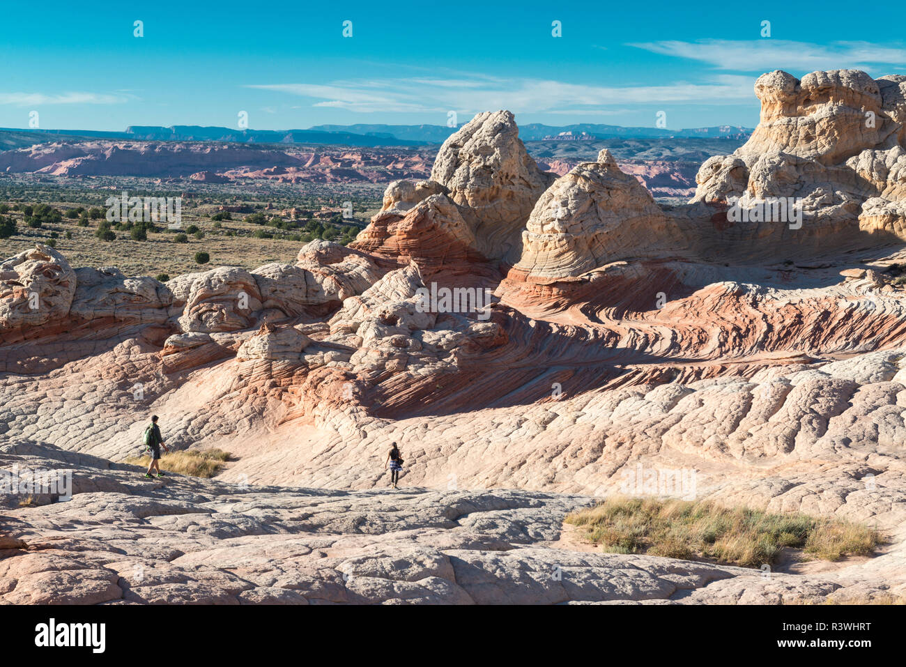 Gli escursionisti godendo il paesaggio di pietra arenaria, Vermillion Cliffs, tasca Bianco Deserto del Bureau of Land Management, Arizona Foto Stock