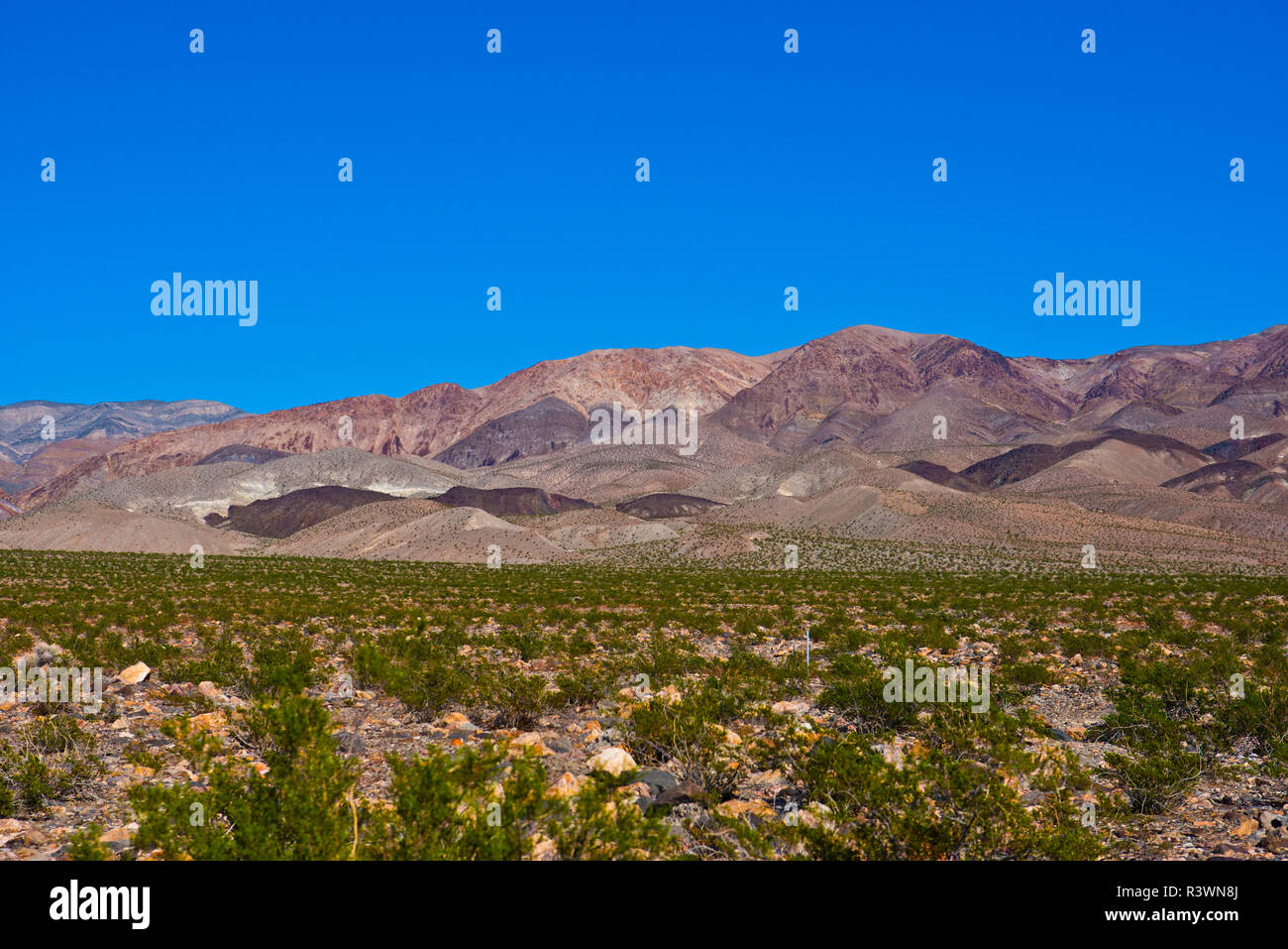Stati Uniti d'America, in California. Parco Nazionale della Valle della Morte, Sud dune di Eureka Road scenario, ultima possibilità la gamma della montagna Foto Stock