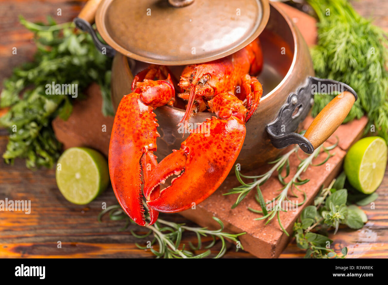 Aragosta Foto Stock